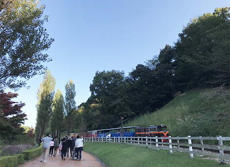 旅行での散歩の画像