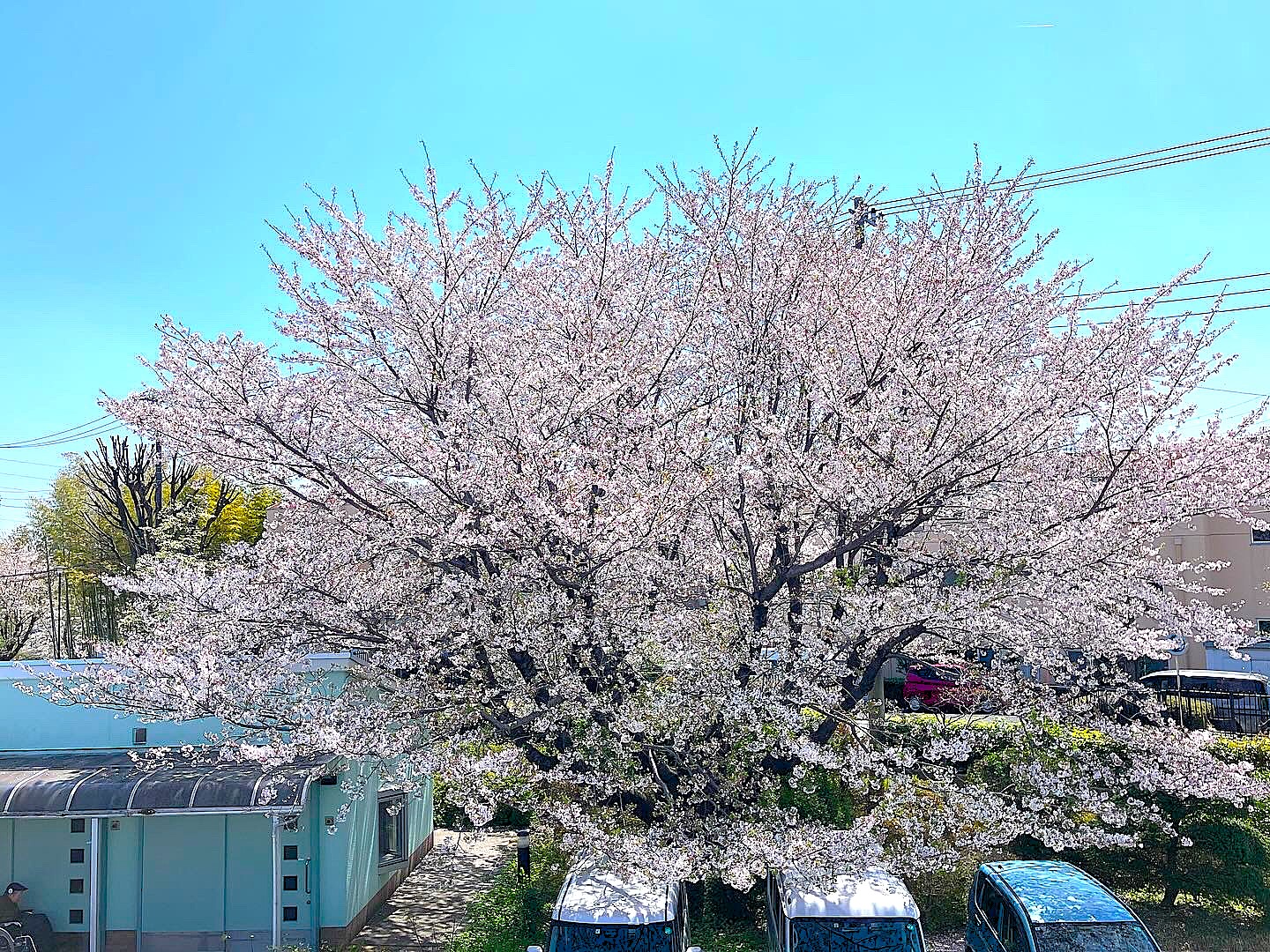 トップ画像3