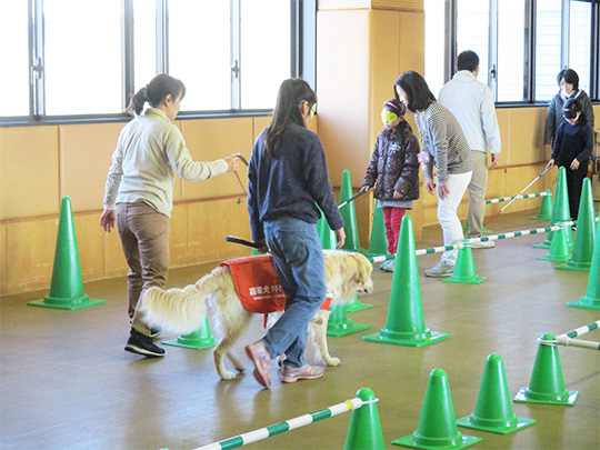 盲導犬と歩く体験の様子