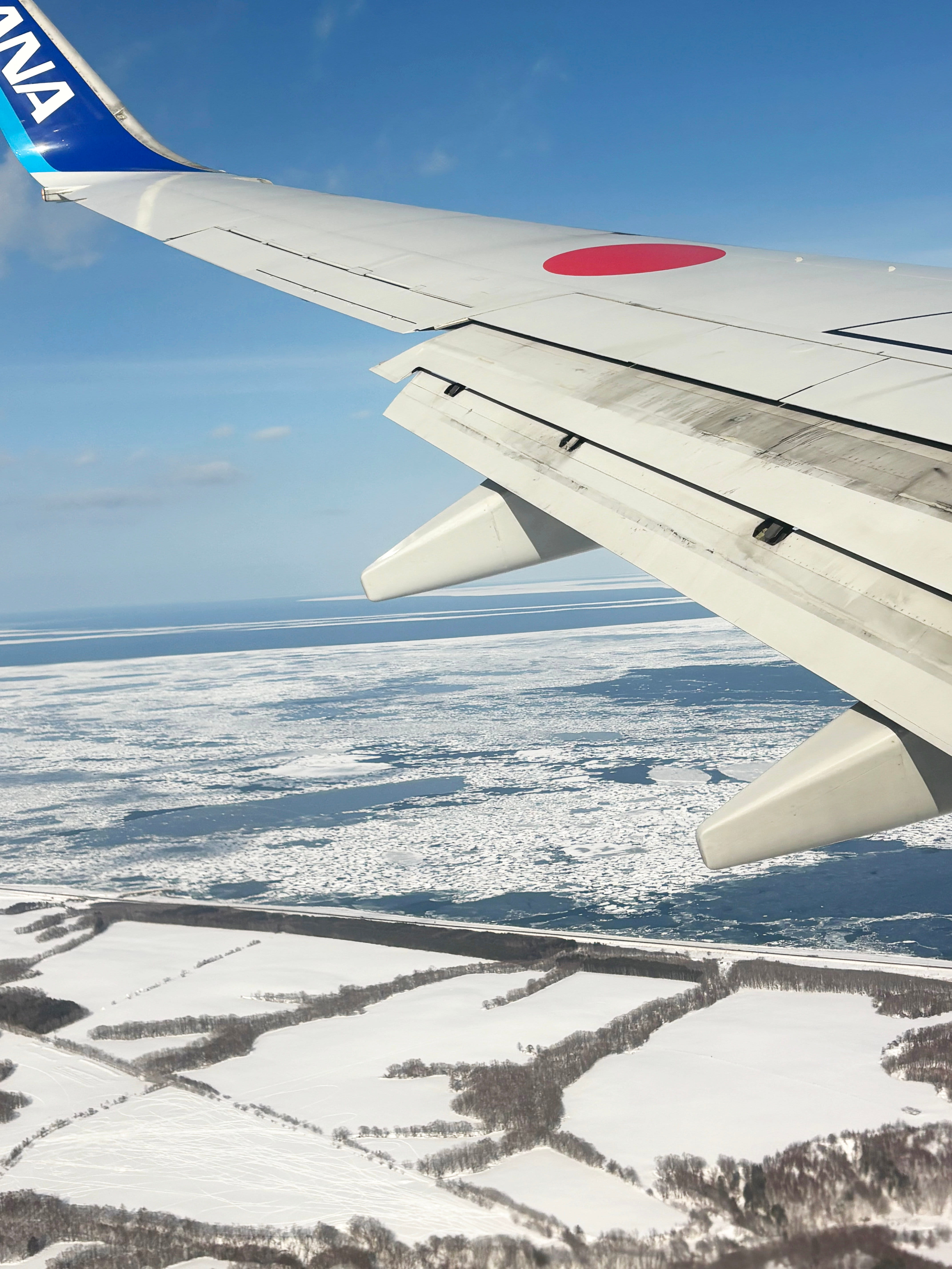 飛行機の窓からみた流氷の写真3