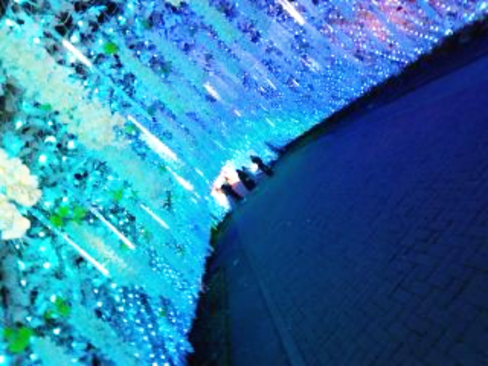 イルミネーションの写真